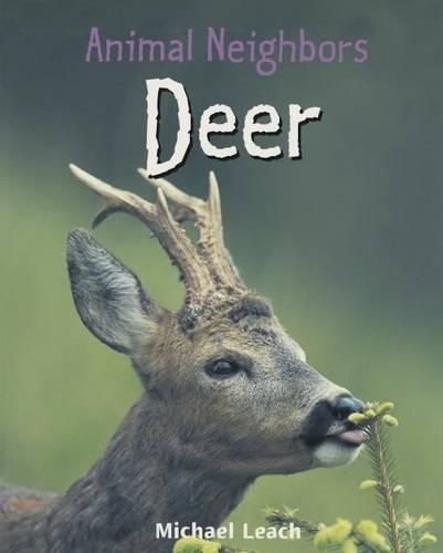 Cover image for Deer