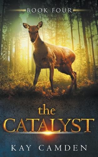 Cover image for The Catalyst