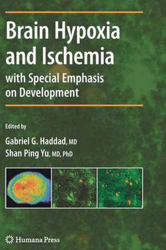 Cover image for Brain Hypoxia and Ischemia