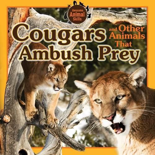 Cover image for Cougars and Other Animals That Ambush Prey