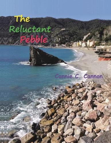 Cover image for The Reluctant Pebble