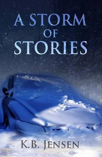 Cover image for A Storm of Stories