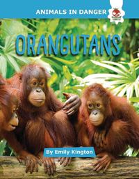 Cover image for Orangutans