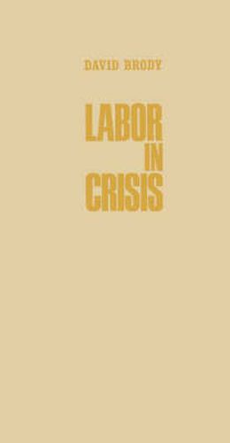 Cover image for Labor in Crisis: The Steel Strike of 1919