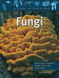 Cover image for Fungi