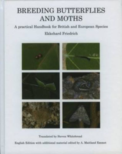 Cover image for Breeding Butterflies and Moths: A Practical Handbook for British and European Species
