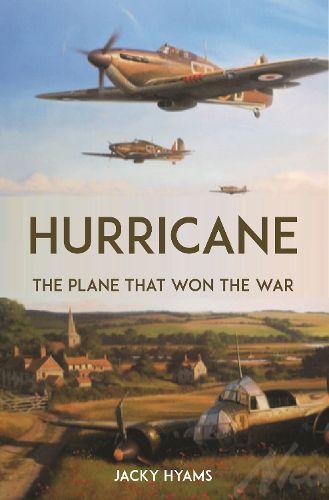 Cover image for Hurricane