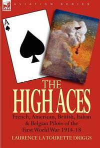 Cover image for The High Aces: French, American, British, Italian & Belgian Pilots of the First World War 1914-18