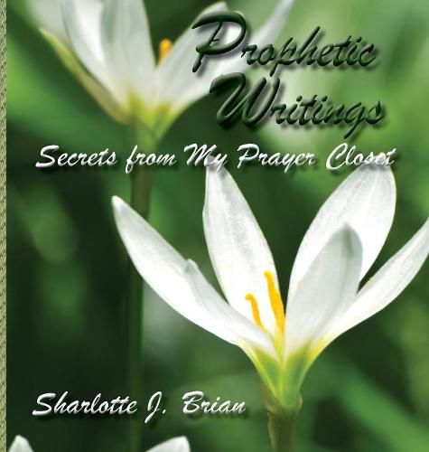 Cover image for Prophetic Writings