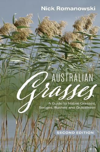 Cover image for Australian Grasses