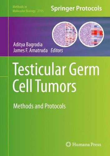 Cover image for Testicular Germ Cell Tumors: Methods and Protocols