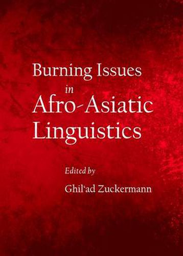 Cover image for Burning Issues in Afro-Asiatic Linguistics