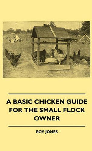 Cover image for A Basic Chicken Guide For The Small Flock Owner