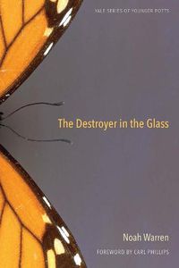 Cover image for The Destroyer in the Glass