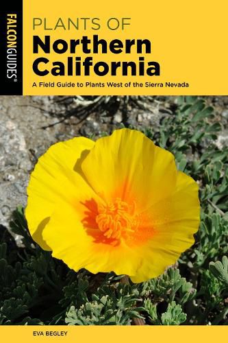 Cover image for Plants of Northern California: A Field Guide to Plants West of the Sierra Nevada