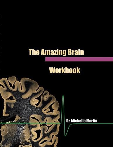 Cover image for The Amazing Brain Workbook