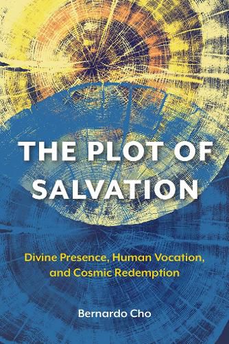 Cover image for The Plot of Salvation: Divine Presence, Human Vocation, and Cosmic Redemption