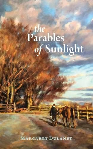 Cover image for The Parables Of Sunlight