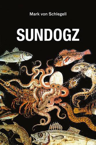 Cover image for Sundogz