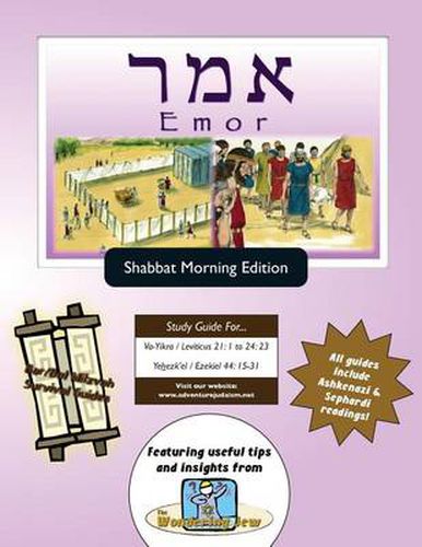 Bar/Bat Mitzvah Survival Guides: Emor (Shabbat Am)