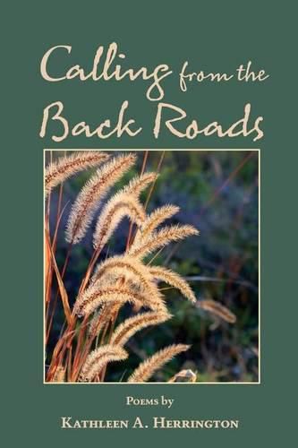 Cover image for Calling from the Back Roads