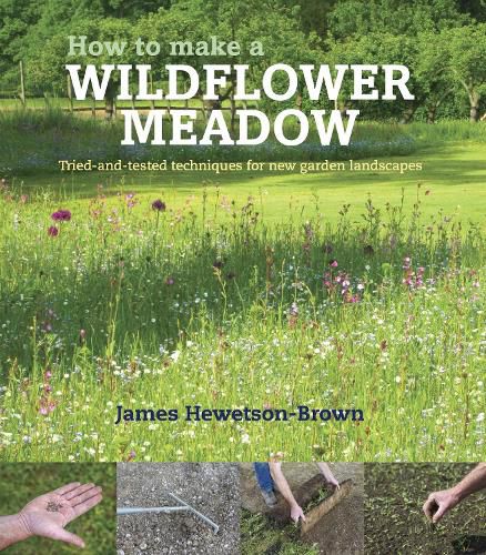 Cover image for How to make a wildflower meadow: Tried-And-Tested Techniques for New Garden Landscapes