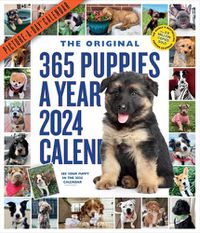 Cover image for 365 Puppies-A-Year Picture-A-Day Wall Calendar 2024