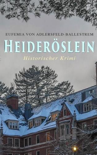 Cover image for Heider slein (Historischer Krimi)