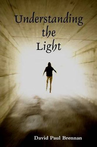 Cover image for Understanding the Light