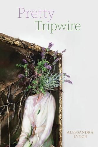 Cover image for Pretty Tripwire