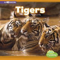 Cover image for Tigers: a 4D Book (Mammals in the Wild)