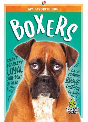 Cover image for Boxers