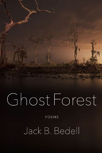 Cover image for Ghost Forest