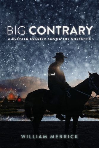 Cover image for Big Contrary