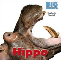 Cover image for Hippo