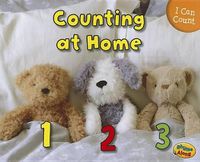 Cover image for Counting at Home