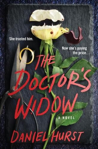 Cover image for The Doctor's Widow