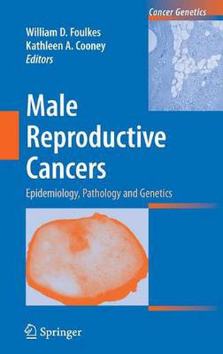 Cover image for Male Reproductive Cancers: Epidemiology, Pathology and Genetics