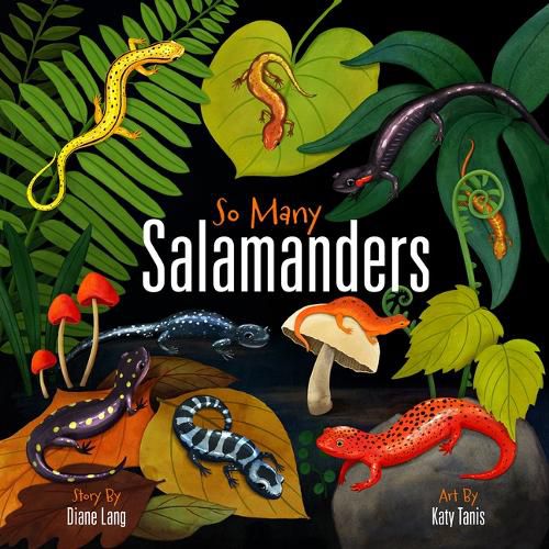 Cover image for So Many Salamanders