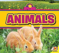 Cover image for Animals