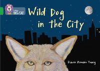 Cover image for Wild Dog In The City: Band 05/Green