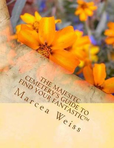 Cover image for The Majesitc Cemetery's Guide to Find Your Fantastic(TM)