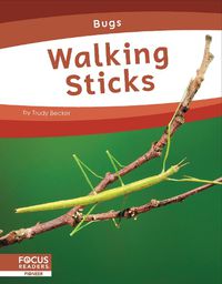 Cover image for Walking Sticks