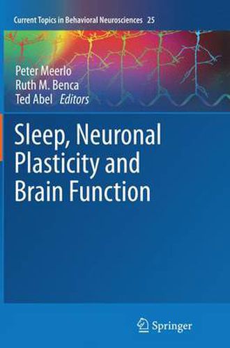 Cover image for Sleep, Neuronal Plasticity and Brain Function