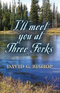 Cover image for I'll Meet You at Three Forks