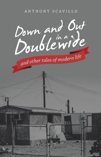 Cover image for Down and out in a Doublewide and Other Tales of Modern Life