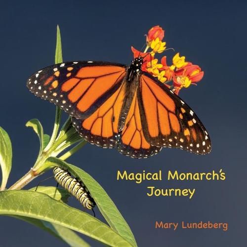 Cover image for Magical Monarch's Journey