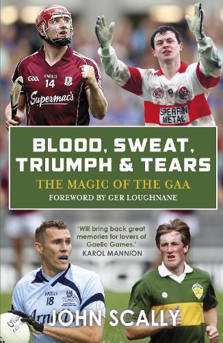 Cover image for Blood, Sweat, Triumph & Tears: The Magic of the GAA
