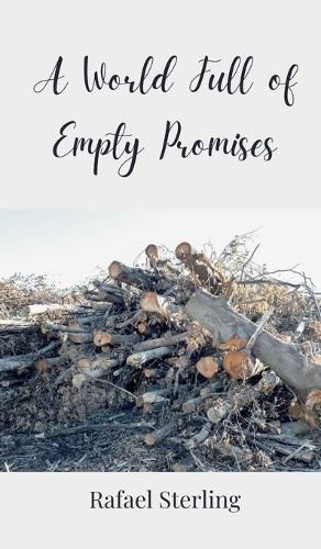 Cover image for A World Full of Empty Promises