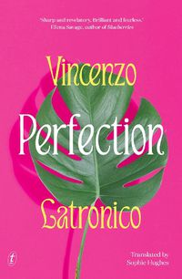 Cover image for Perfection